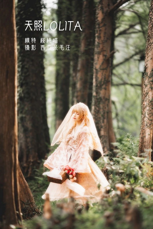 天照LOLITA - 桜桃喵