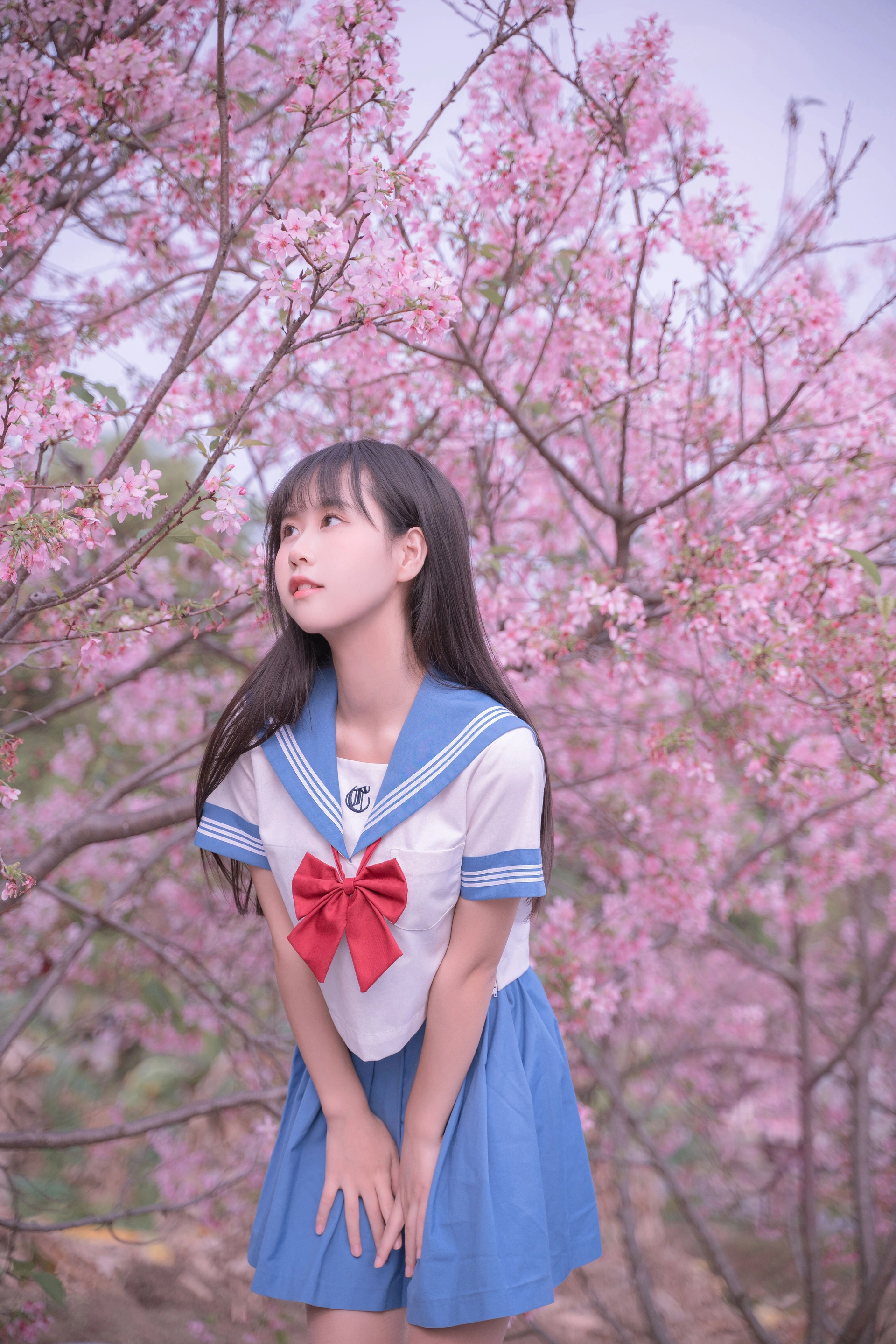 萌芽儿 - NO.28 樱花jk 1