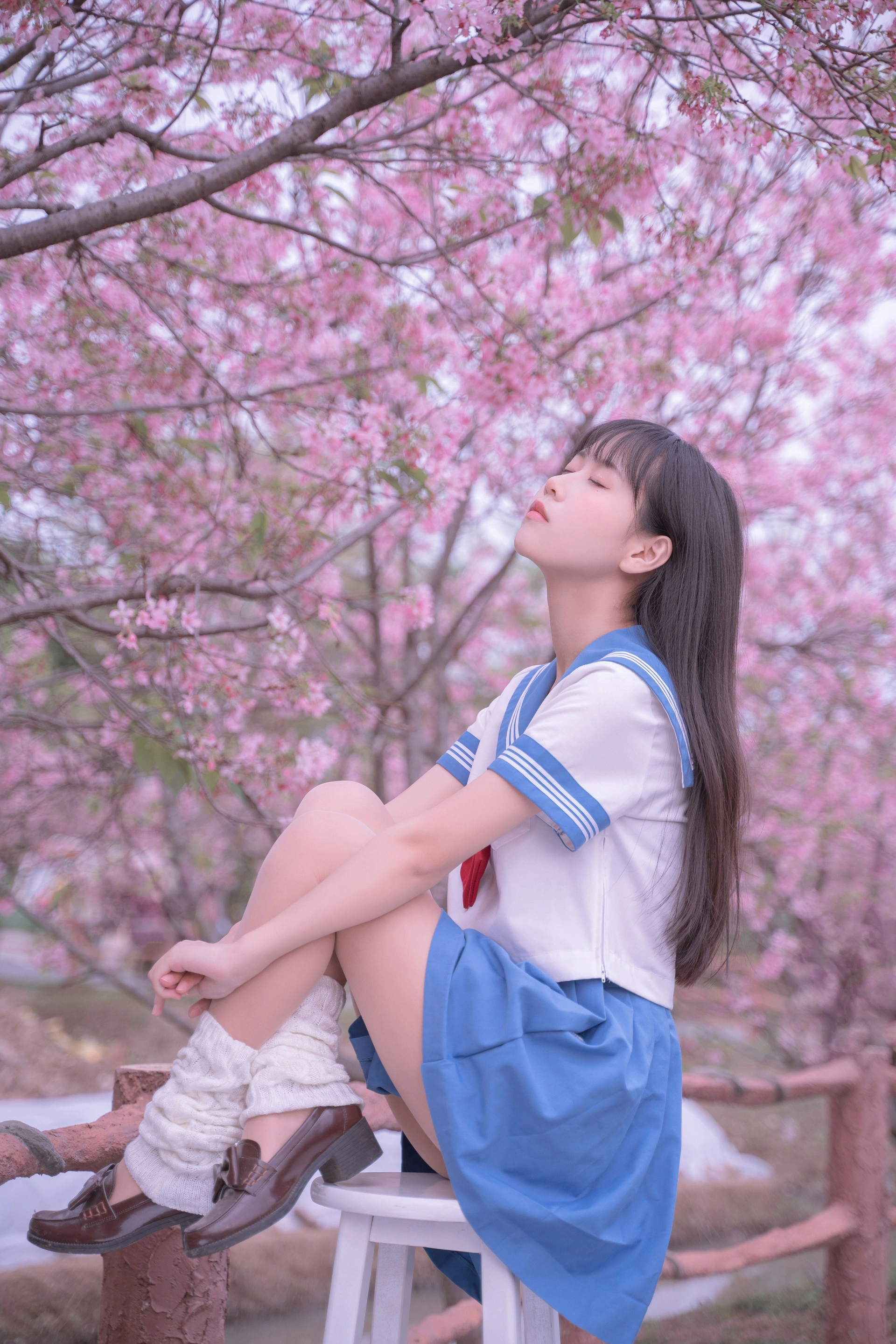 萌芽儿 - NO.28 樱花jk 3