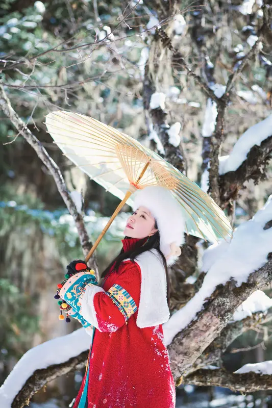 吉祥雪兆丰年 - 年年nnian